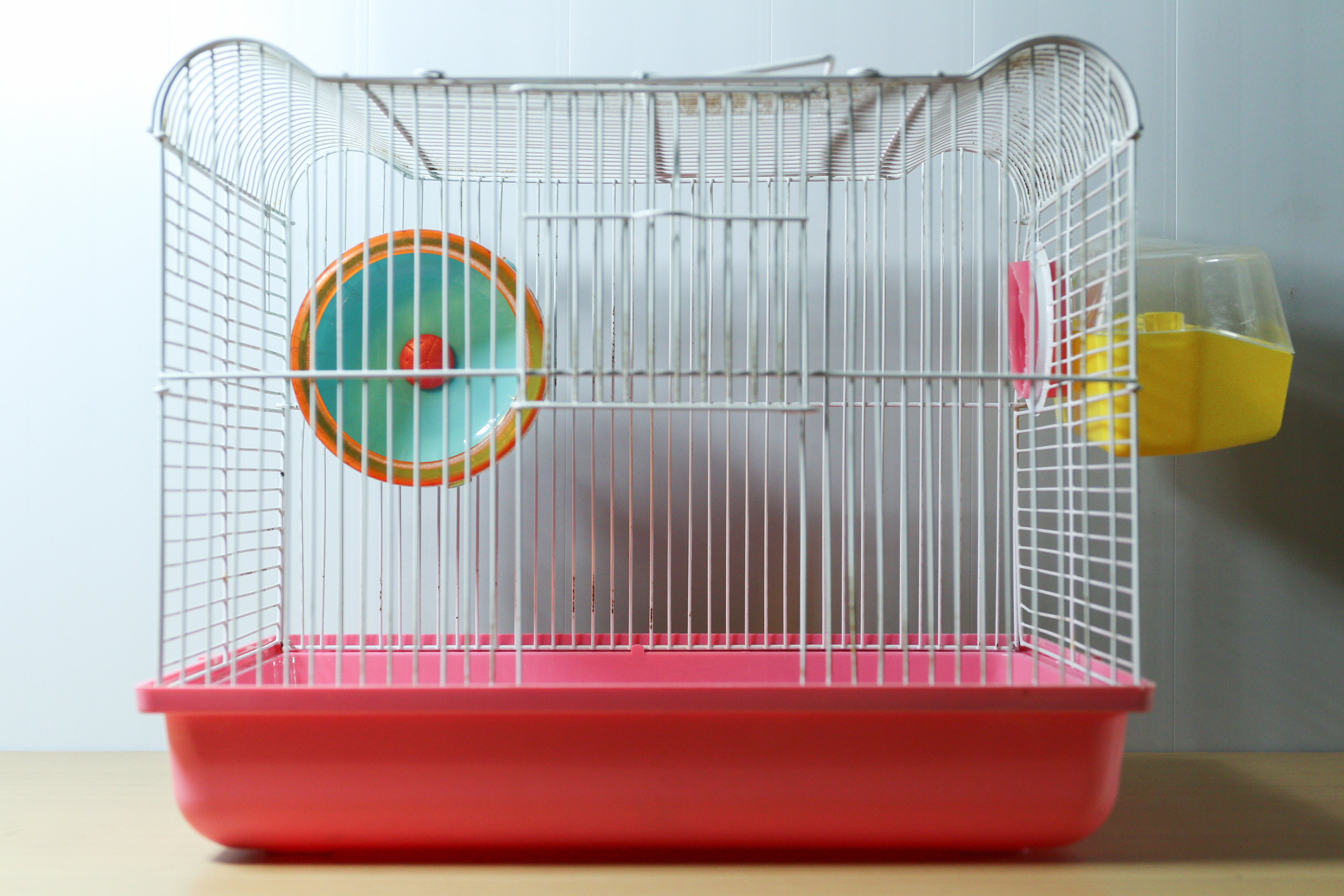 Le Journal d'Edward, hamster nihiliste (1990-1990)