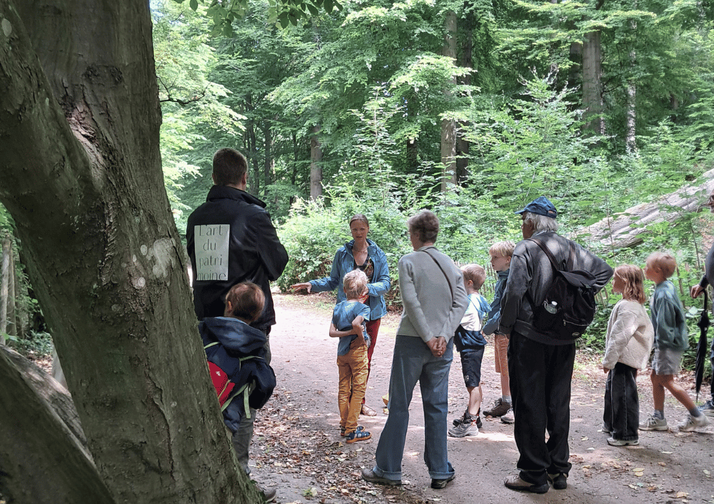 FORÊT DE SOIGNES * La forêt à travers les sens