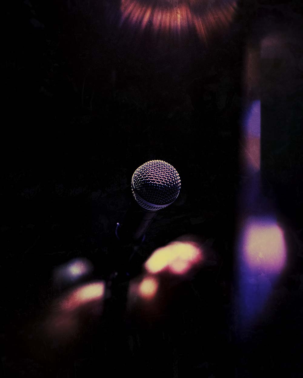 De Ultieme Talent Show