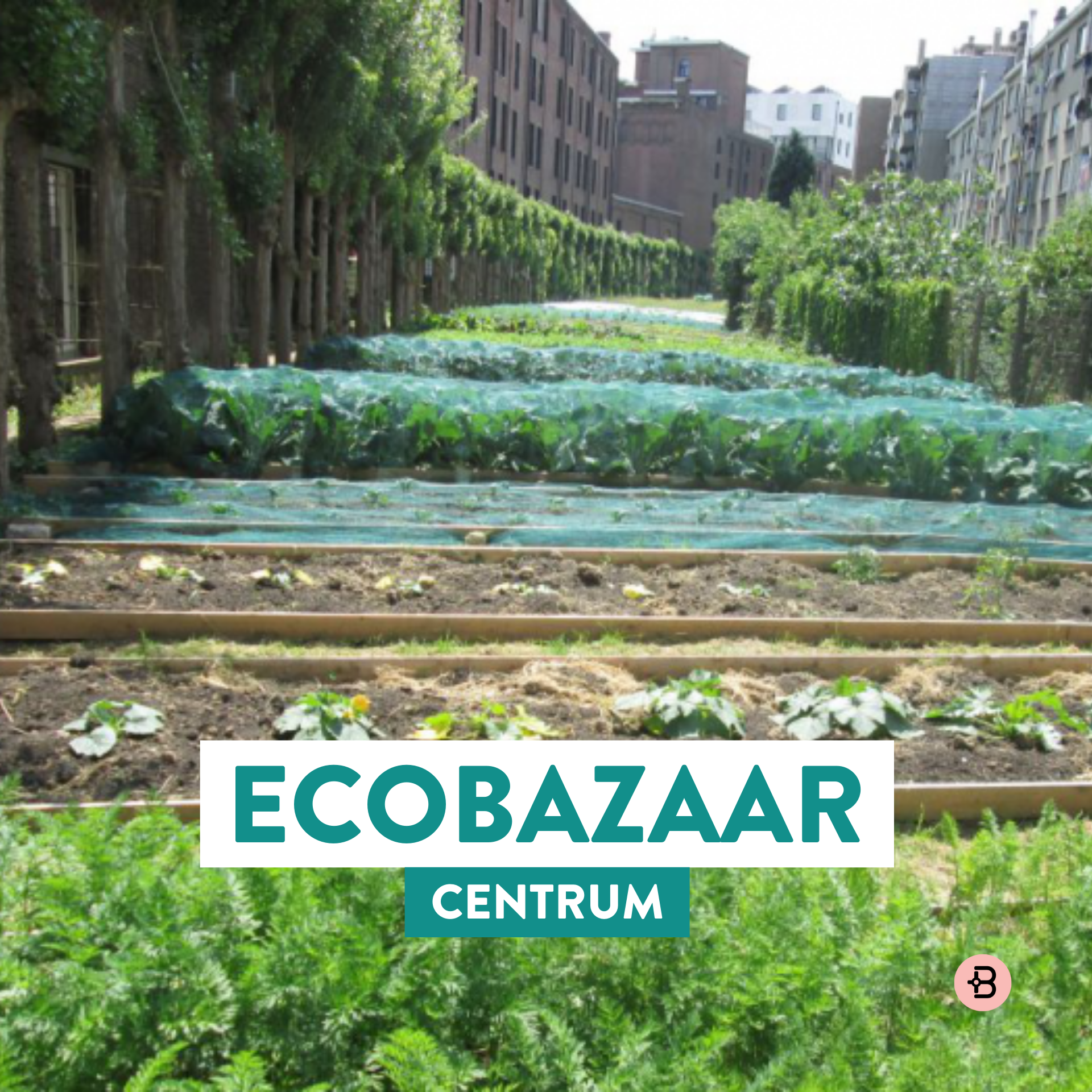 Ecobazaar | Centrum