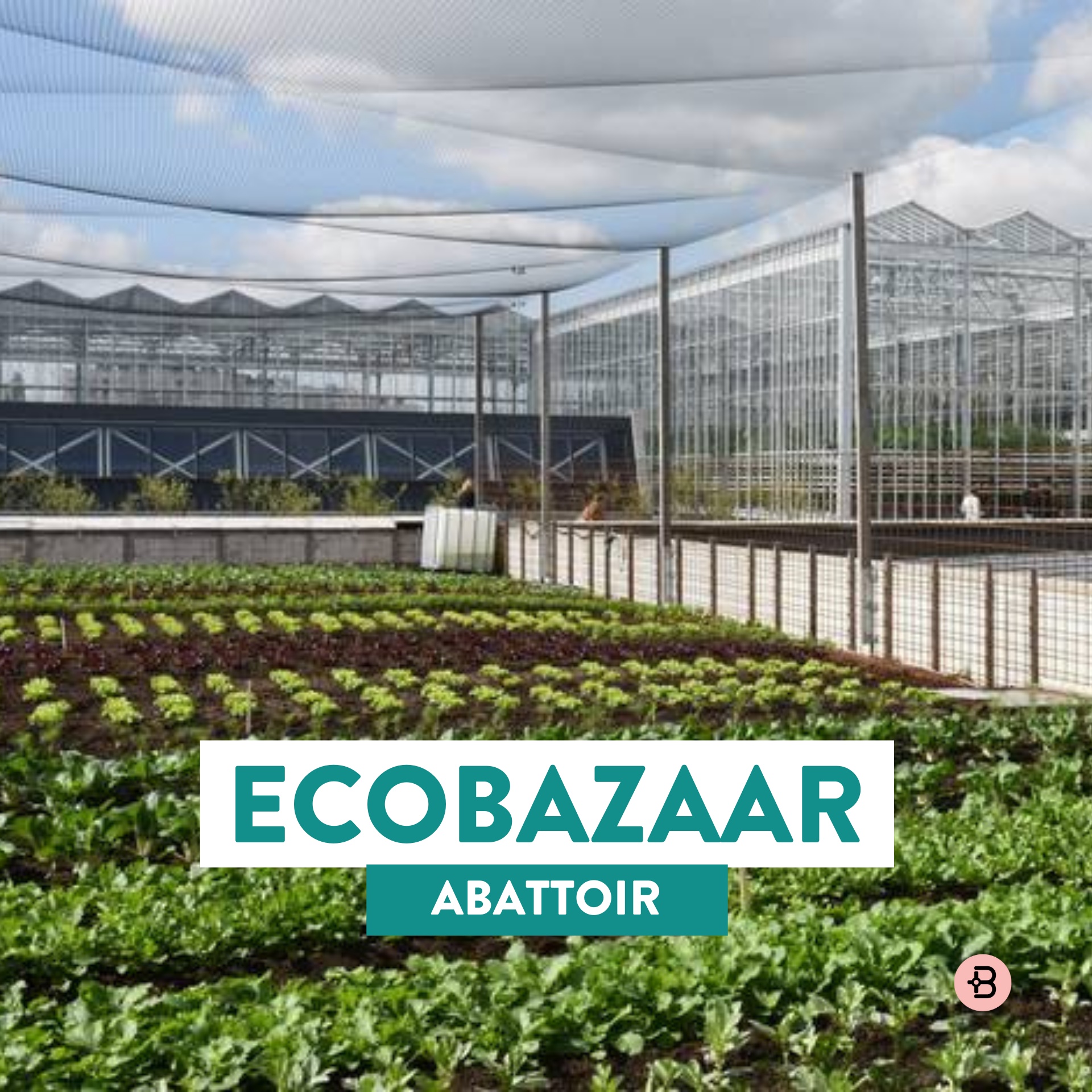 Ecobazaar | Abattoir